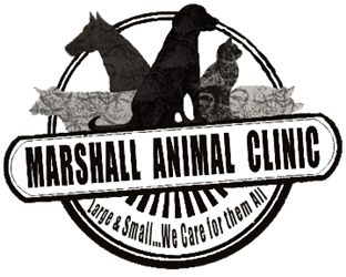 Marshall Animal Clinic