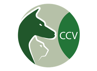 CountryChase Veterinary