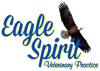 Eagle Spirit Veterinary Practice