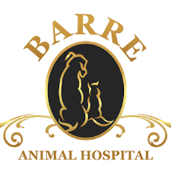 Barre Animal Hospital