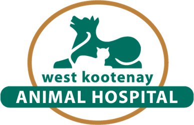 West Kootenay Animal Hospital