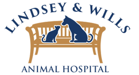 Lindsey and Wills Animal Hospital
