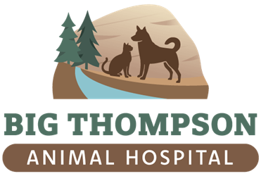 Big Thompson Animal Hospital