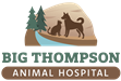 Big Thompson Animal Hospital