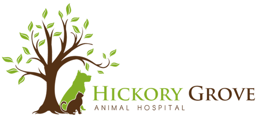 Hickory Grove Animal Hospital