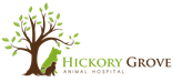 Hickory Grove Animal Hospital