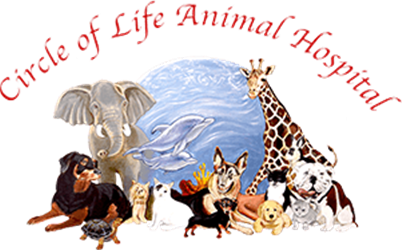 Circle of Life Animal Hospital