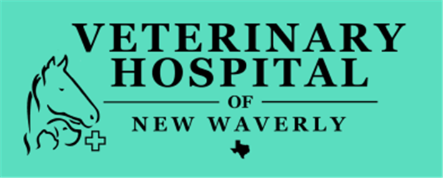Veterinary Hospital of New Waverly
