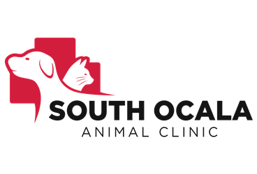 South Ocala Animal Clinic