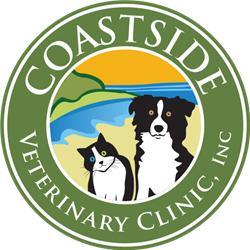 Coastside Veterinary Clinic