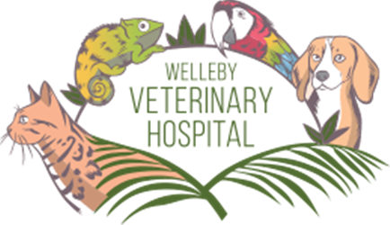 Welleby Veterinary Hospital