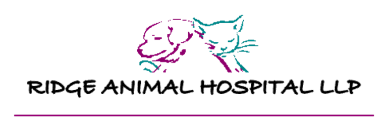 Ridge Animal Hospital LLP