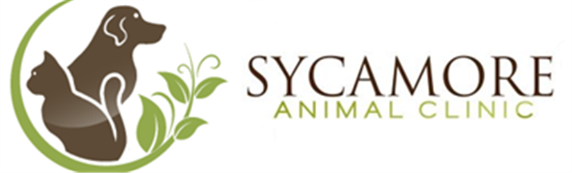 Sycamore Animal Clinic