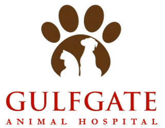 Gulfgate Animal Hospital