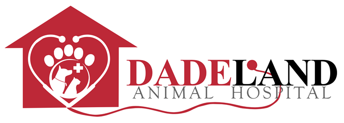 Dadeland Animal Hospital