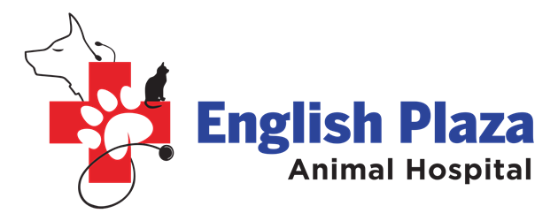 English Plaza Animal Hospital