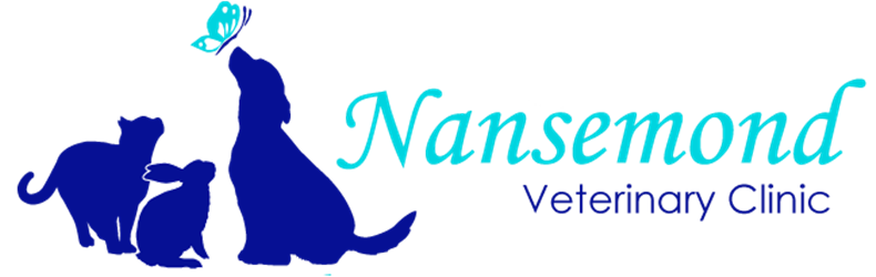 Nansemond Veterinary Clinic