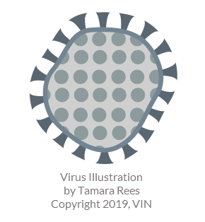 Drawing of virus