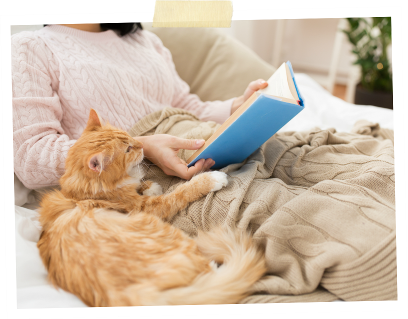 Photo of orange tabby cat snuggling with owner under a blanket
