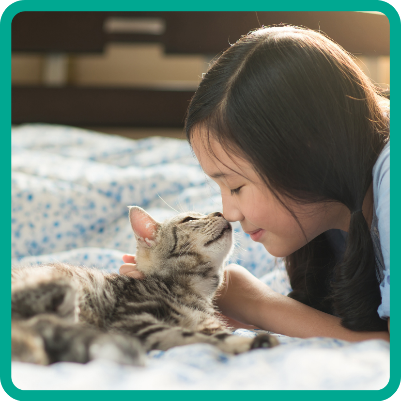 Little girl and kitten nose-to-nose, sweet moment.