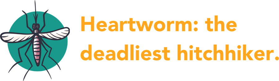 Icon w/mosquito and text: Heartworm: the deadliest hitchhiker.