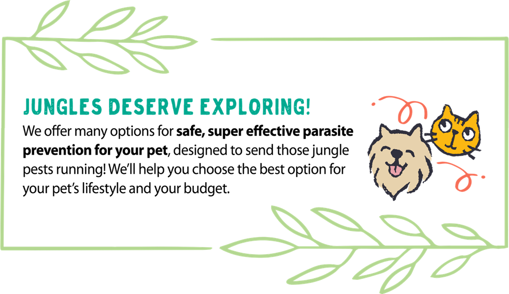 Jungles deserve exploring! graphic.
