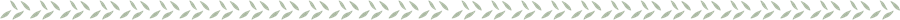 Leaves border line