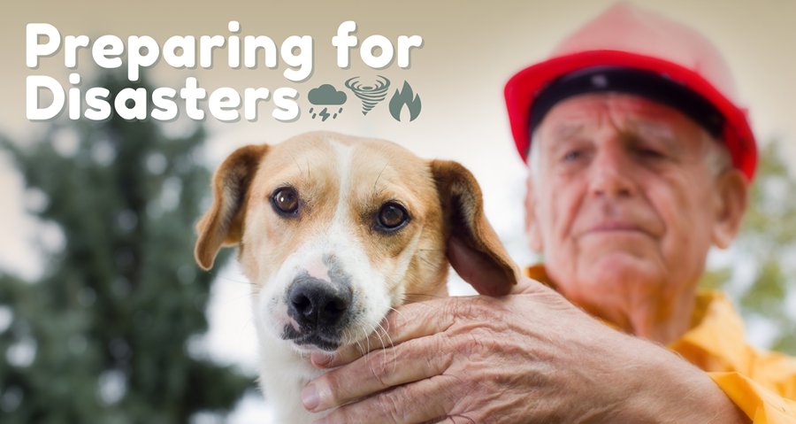 Man in raincoat and red hard hat holding Jack Russell Terrier. Text: Preparing for Disasters