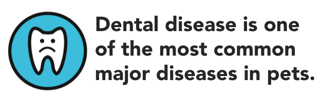 Icon w/sad tooth and text: Dental disease is one of the most common major diseases in pets.