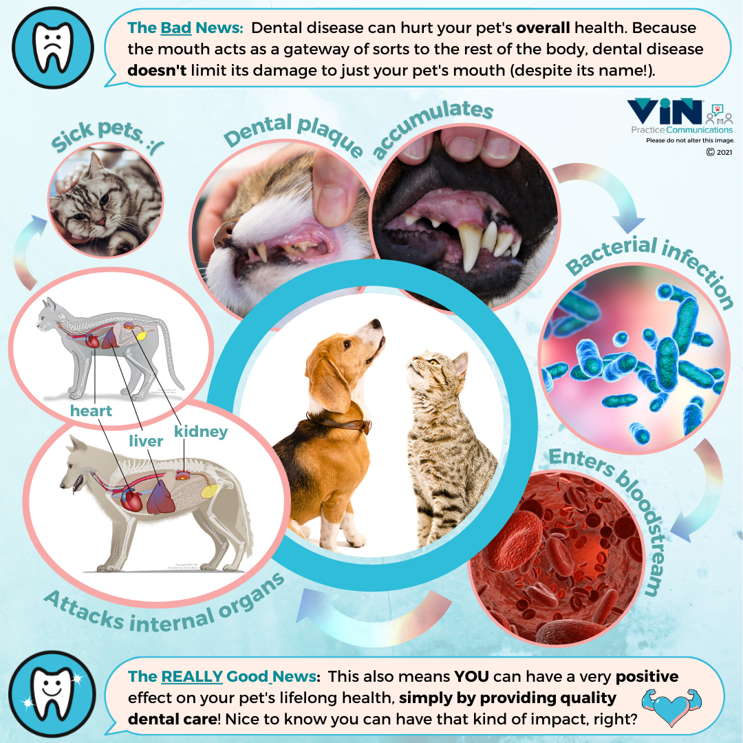 Infographic illustrating the text sections above.