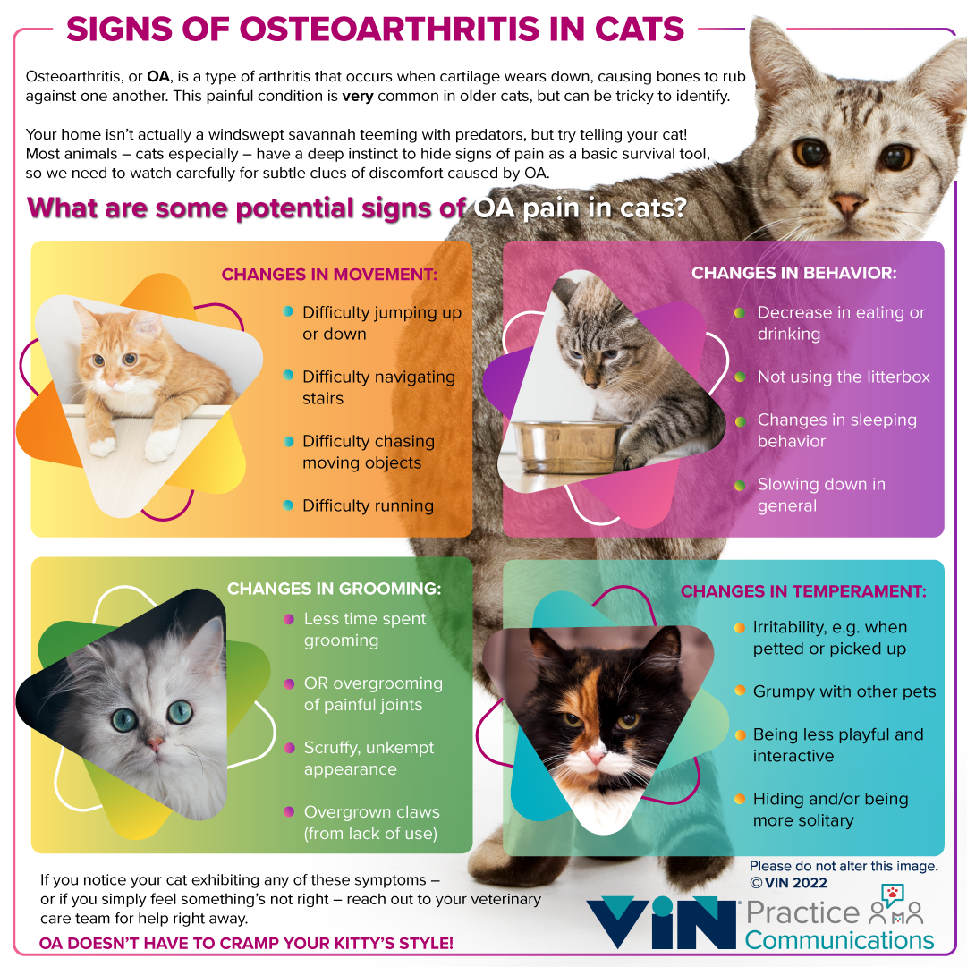 Detailed infographic with possible symptoms of OA pain.