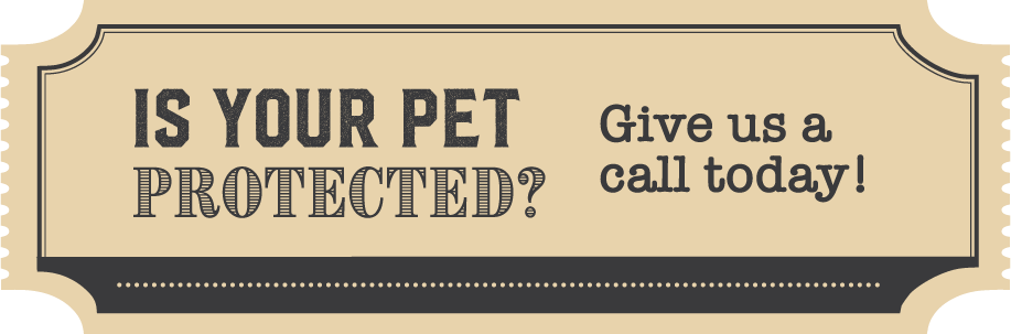 Promo graphic: Is your pet protected?