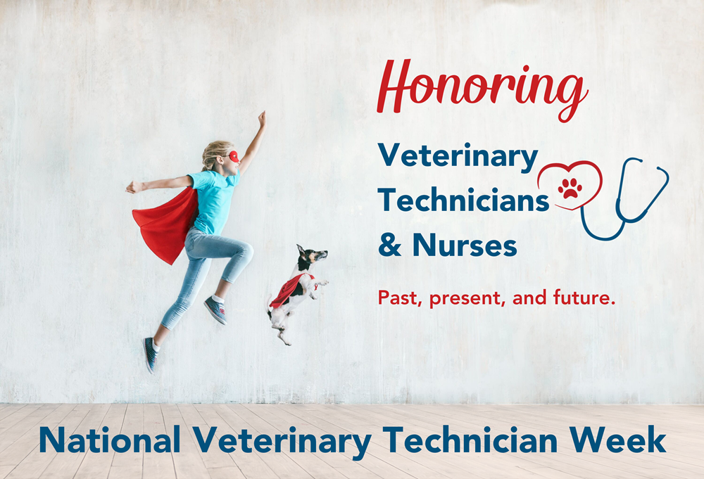 Little girl and Jack Russell Terrier, both wearing superhero capes. Honoring veterinary technicians and nurses - past, present, and future.