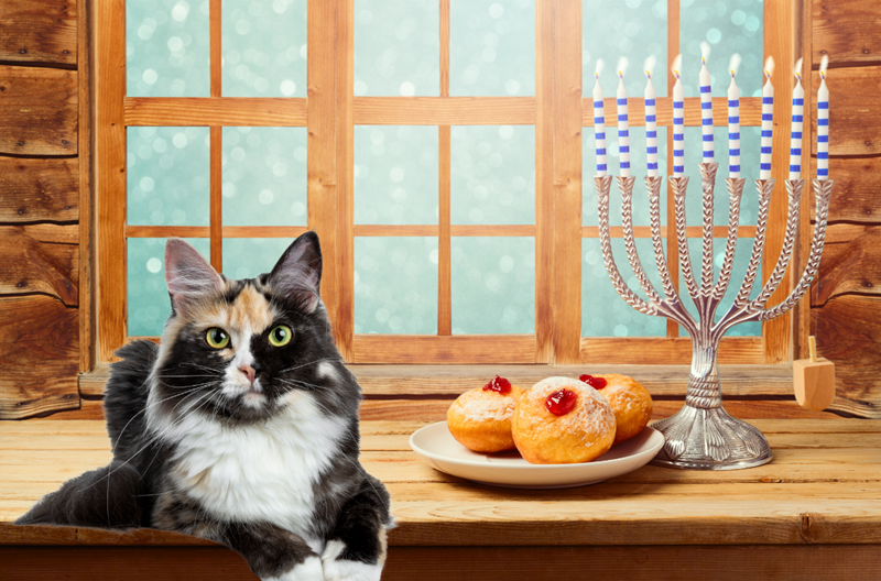 Calico cat sitting next to menorah and donuts.