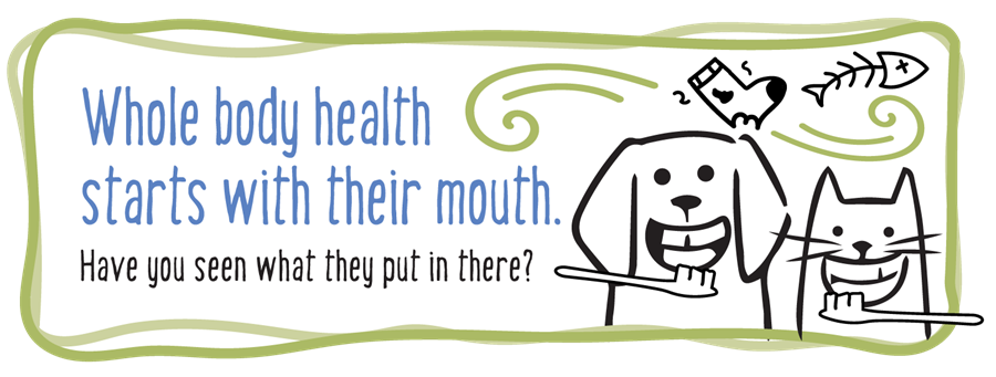 Whole body health starts with their mouth graphic.