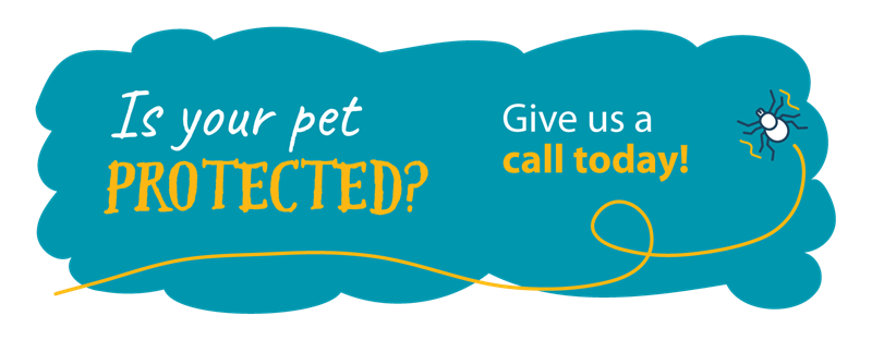 Is your pet protected?