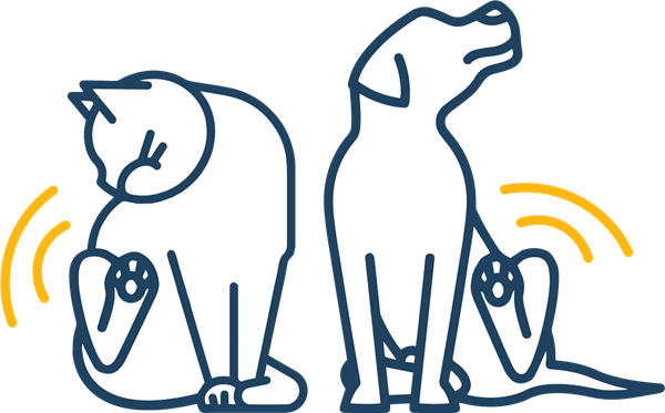 Small drawing of dog and cat scratching