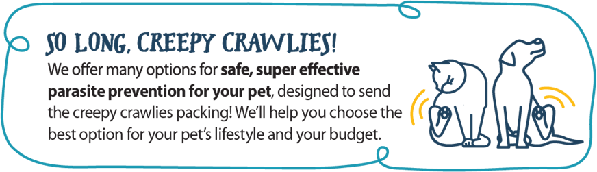 So Long, Creepy Crawlies graphic - 2 scratching pets with text explaining that your veterinarian will help you select the most appropriate and cost-effective preventive for your pet.