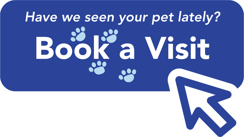 Image with hyperlink: Have we seen your pet lately? Book a visit.