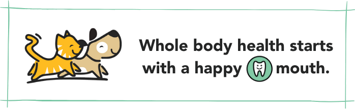 Whole body health starts with their mouth graphic.