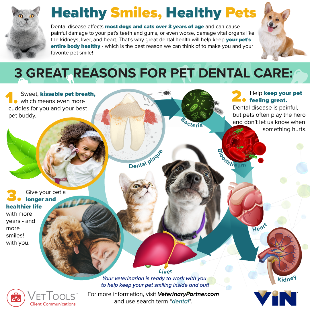 Infographic: Healthy Smiles, Healthy Pets