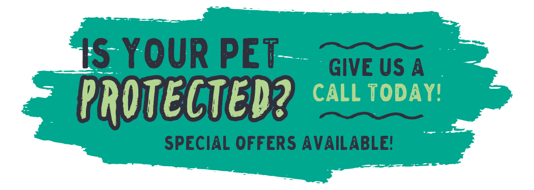 Promo graphic: Is your pet protected? Special offers available!