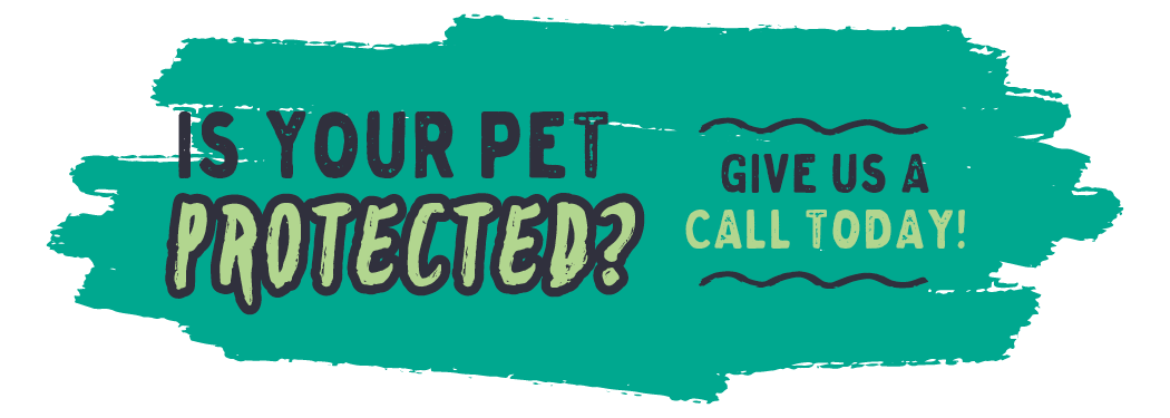 Promo graphic: Is your pet protected?