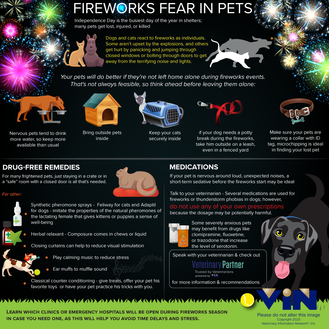 Infographic: Fireworks Fears in Pets