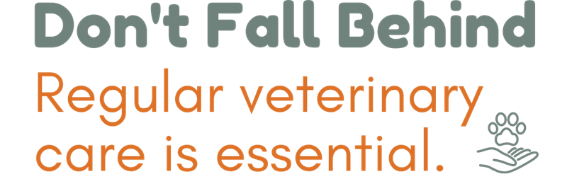 Text: Don't Fall Behind: Veterinary care is essential. Graphic includes pawpring hovering over open hand.