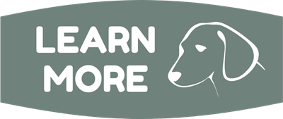 Button: Learn More - Dogs