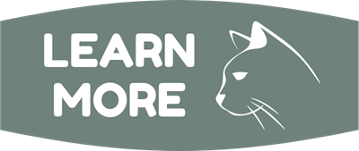 Button: Learn More - Cats