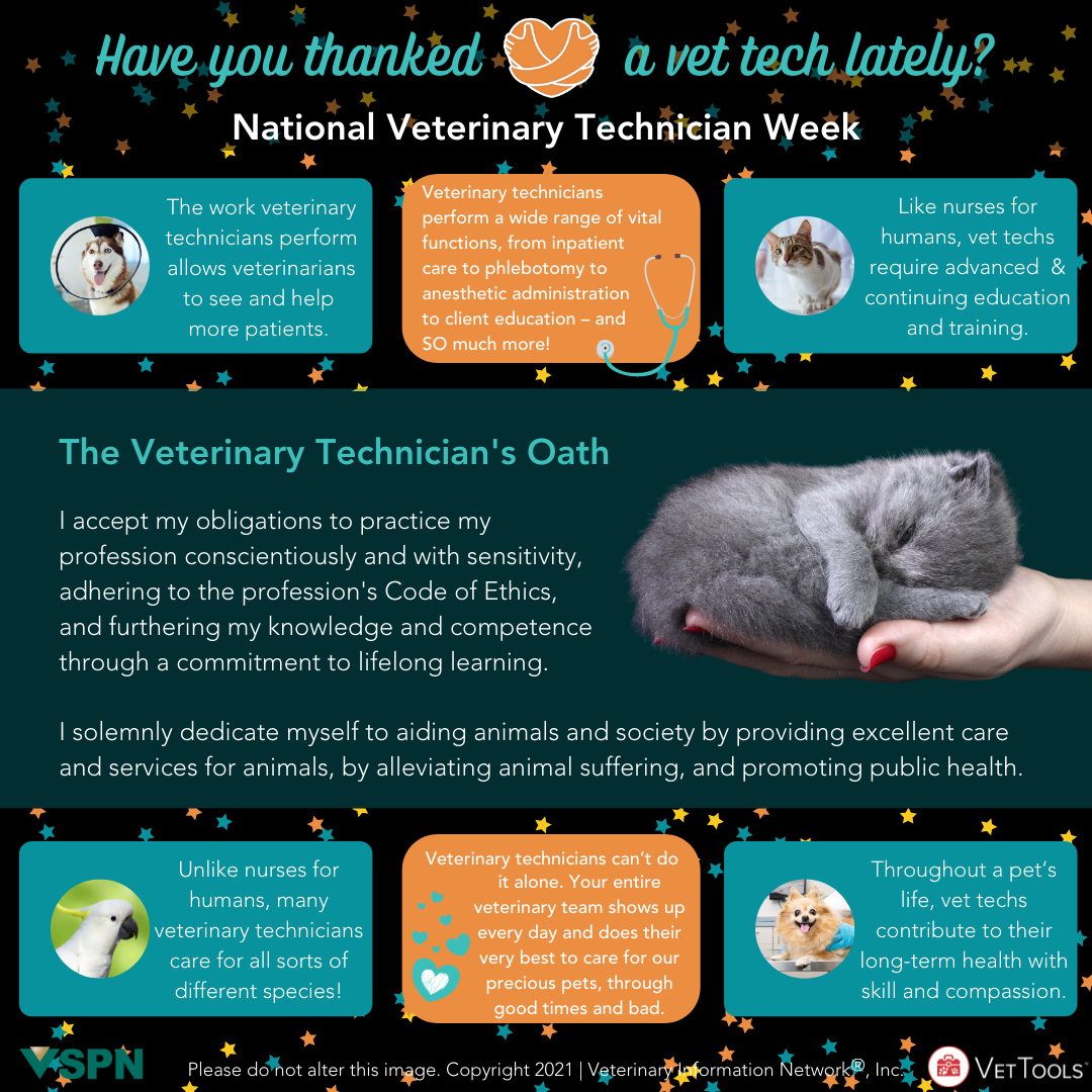 Detailed infographic: Have you thanked a vet tech lately?