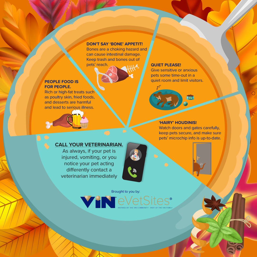 Infographic with Thanksgiving safety tips for pets.
