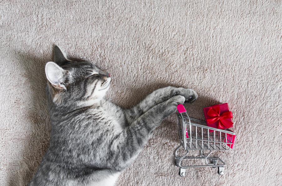 Gray and white tabby cat with tiny shopping cart and gift in it.